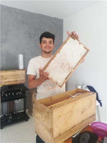 Momento del trabajo apícola de Beeprofit